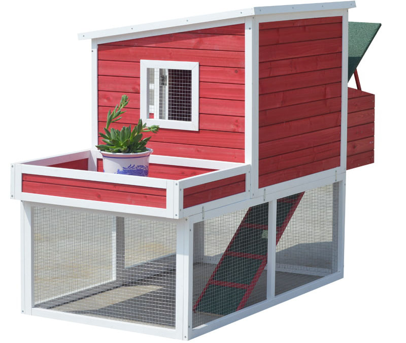 modern laying hen cage design