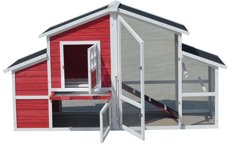 chicken breeding and layer cage