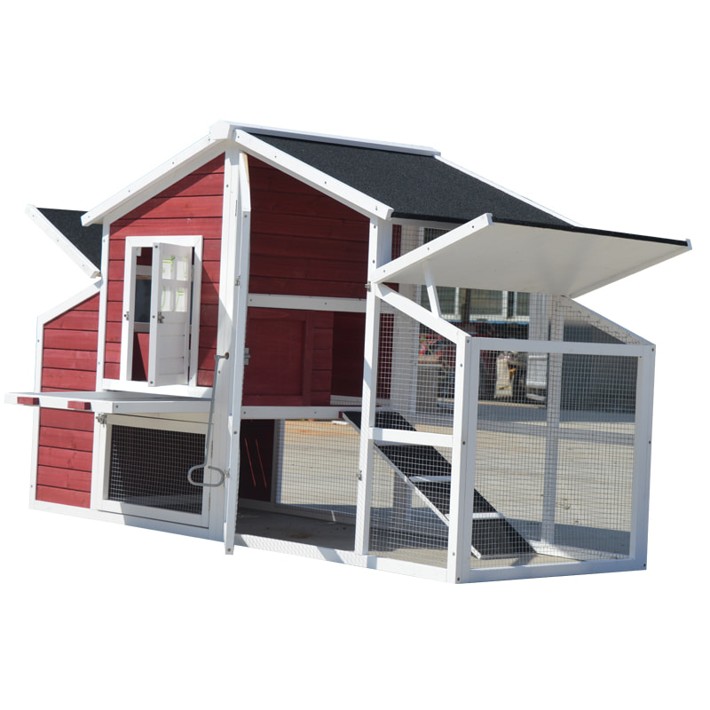 chicken breeding and layer cage