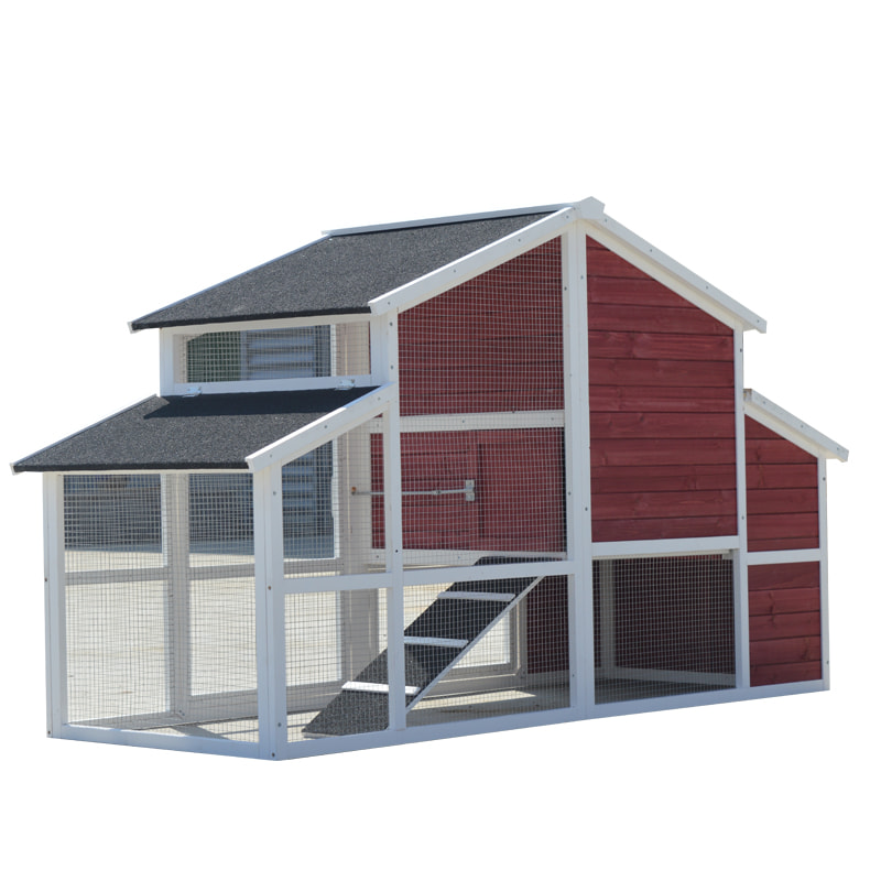 chicken coop for eggs