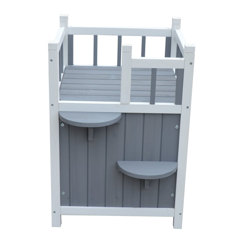 dog resting outdoor dog resting outdoor