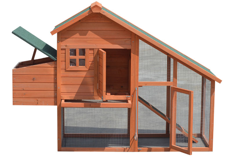 chicken big secure cage