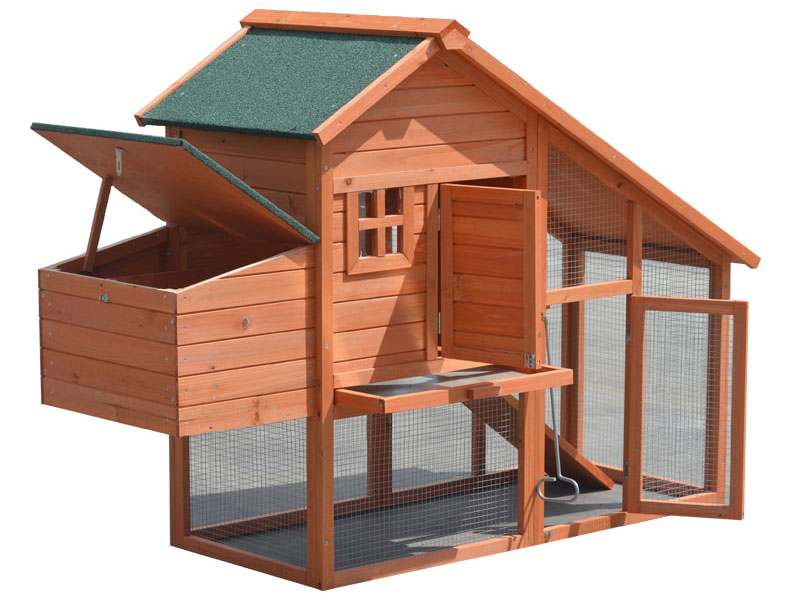 cage laying hens used