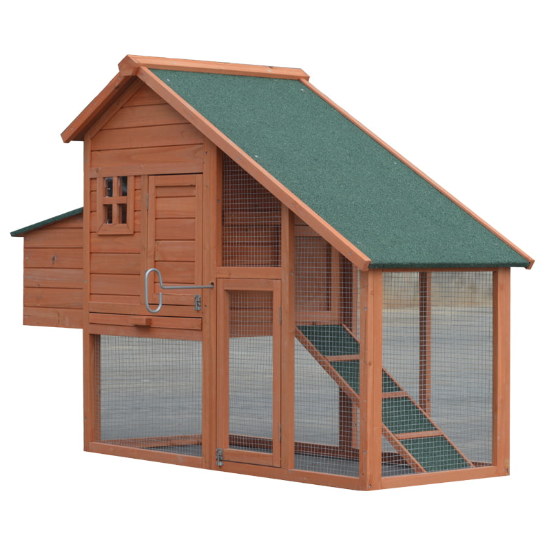 chicken big secure cage