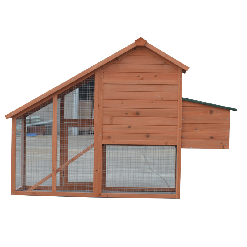 cage laying hens used