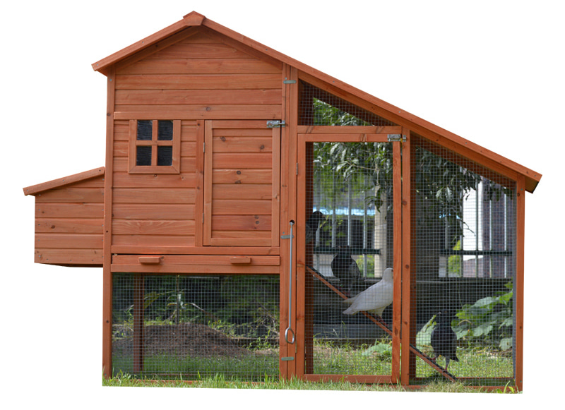 Outdoor two layer backyard cozy Chicken Coop