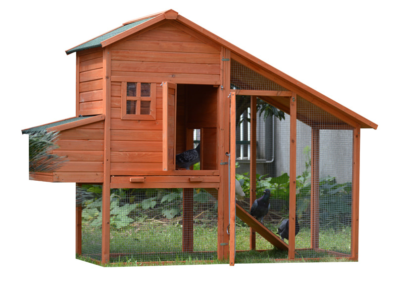 Outdoor two layer backyard cute Chicken Coop