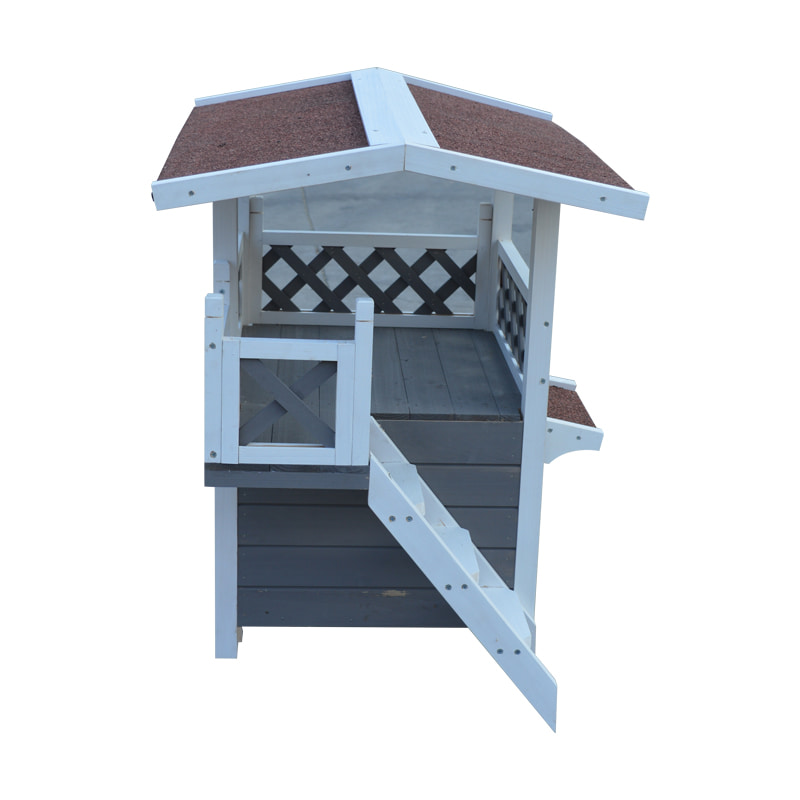 boarding for cats near me