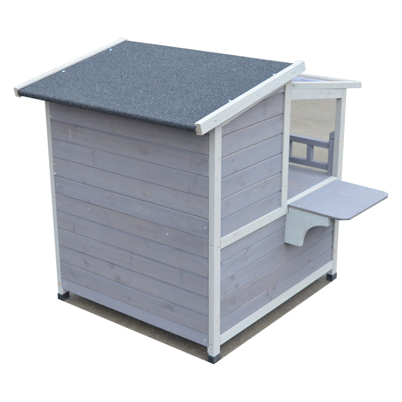 boarding for cats near me