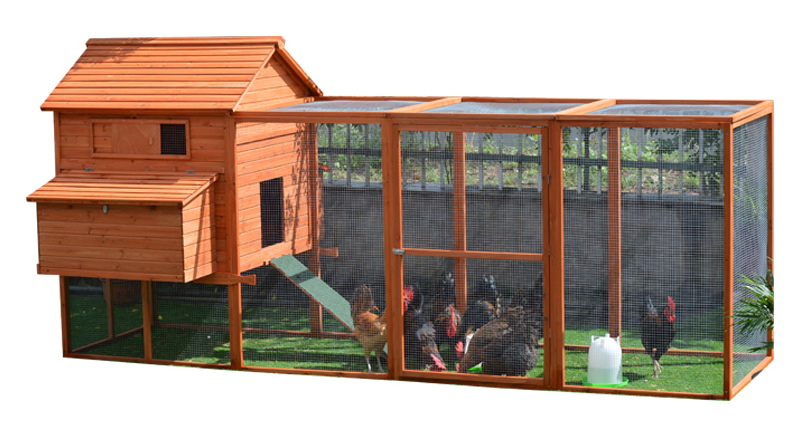 Outdoor big backyard cozy Chicken Coop