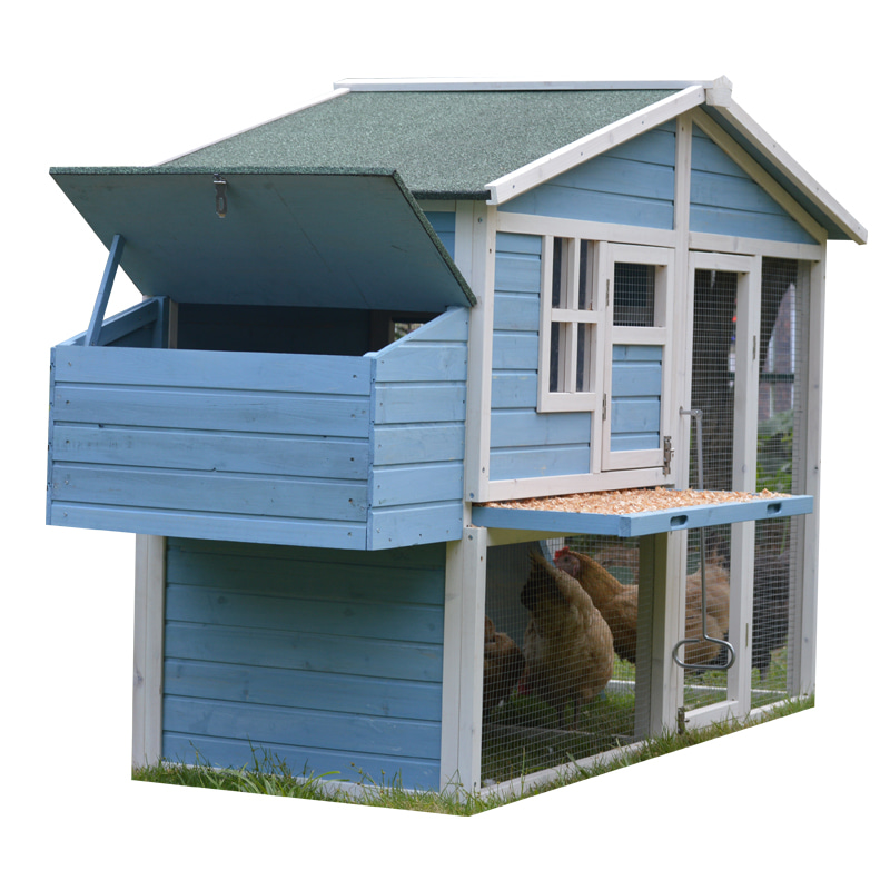 two-layer Blue color chicken coop