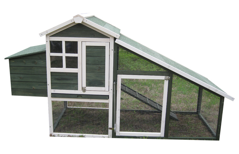Outdoor spacious Chicken Coop green color